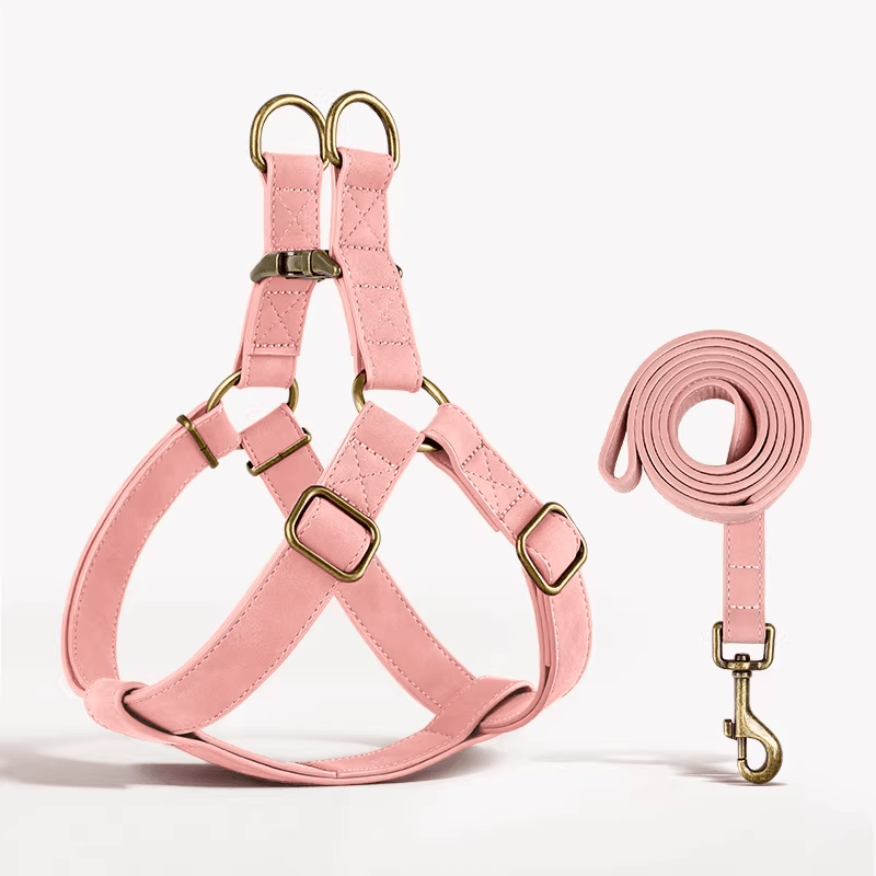 Eprolo dog traction rope with chest and back belt for medium and large dogs, including Corgi vest for walking and control.
