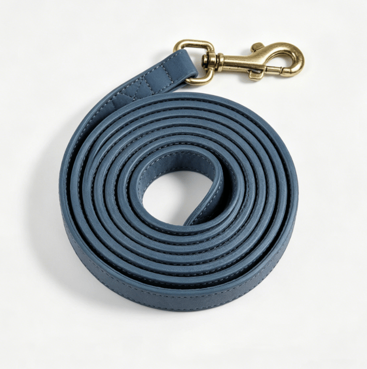 Eprolo dog traction rope with chest and back belt for medium to large dogs, Corgi vest, ideal for walking and training.