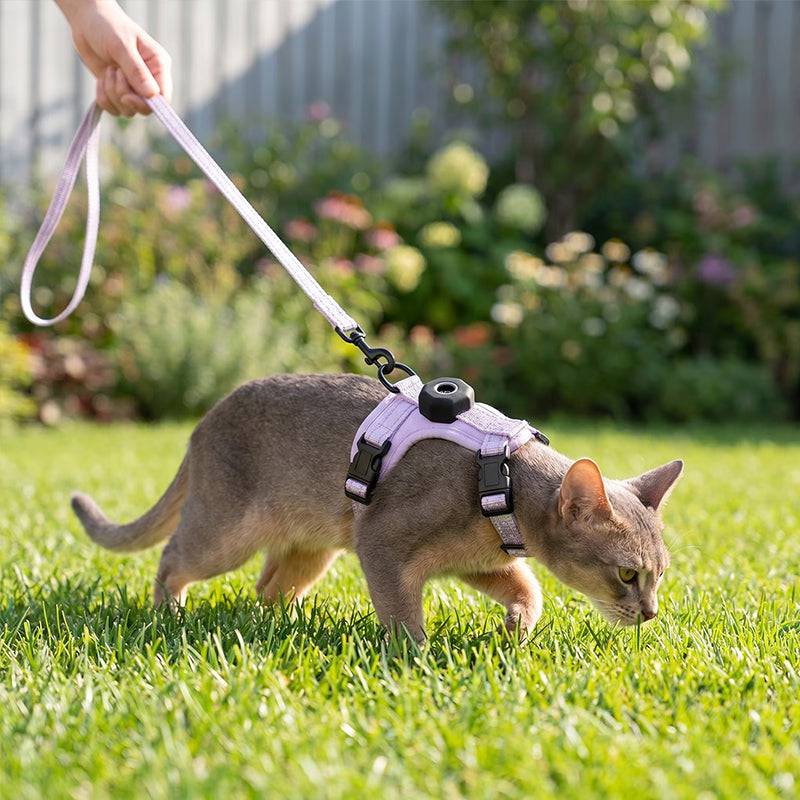 Eprolo reflective escape-proof cat harness with adjustable vest and built-in AirTag holder for outdoor walks.