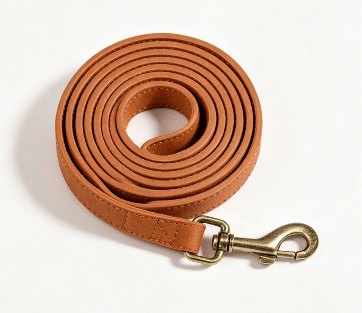 Eprolo dog traction rope with chest and back belt for medium to large dogs, Corgi vest for walking and training.