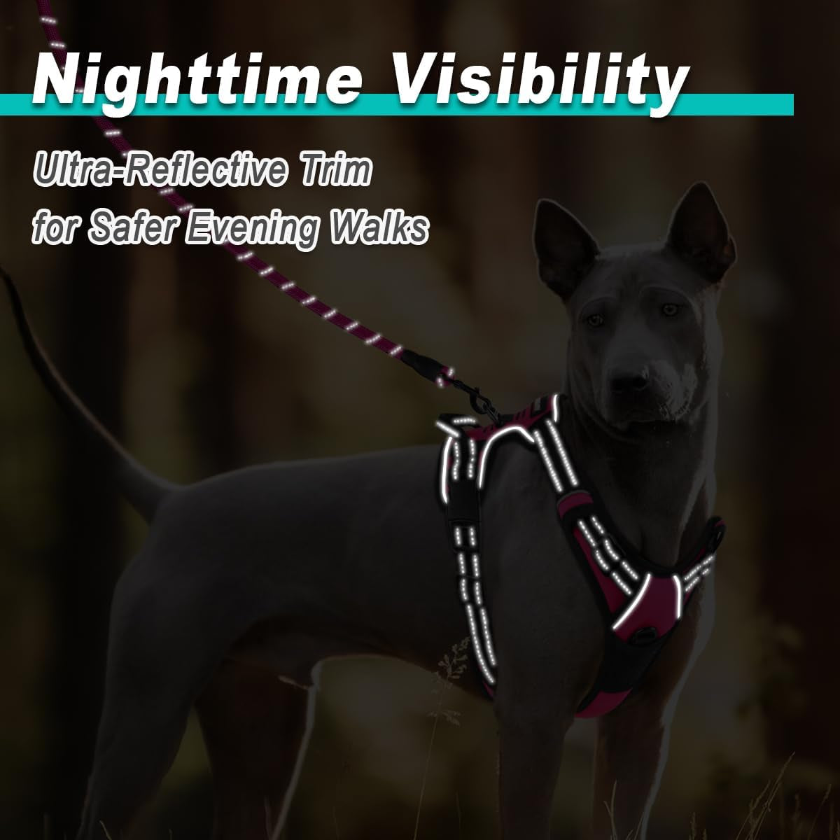 No-Pull Reflective Dog Harness Oxford Vest