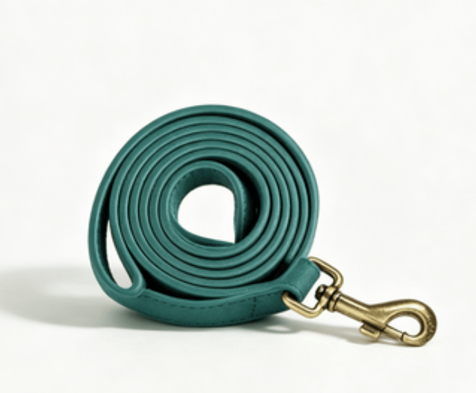Eprolo dog traction rope with chest and back belt for medium and large dogs, including Corgi vest for easy walking.