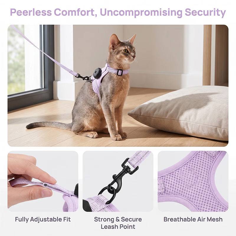 Reflective eprolo escape-proof cat harness with adjustable vest and built-in AirTag holder, suitable for outdoor walking.