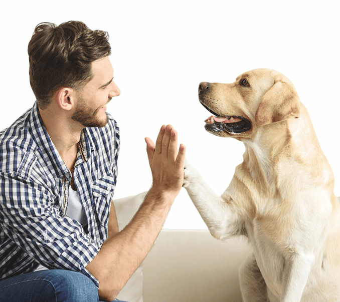 Eprolo dog sound film ticking stick trainer with a compact, portable dog whistle for training and communication.