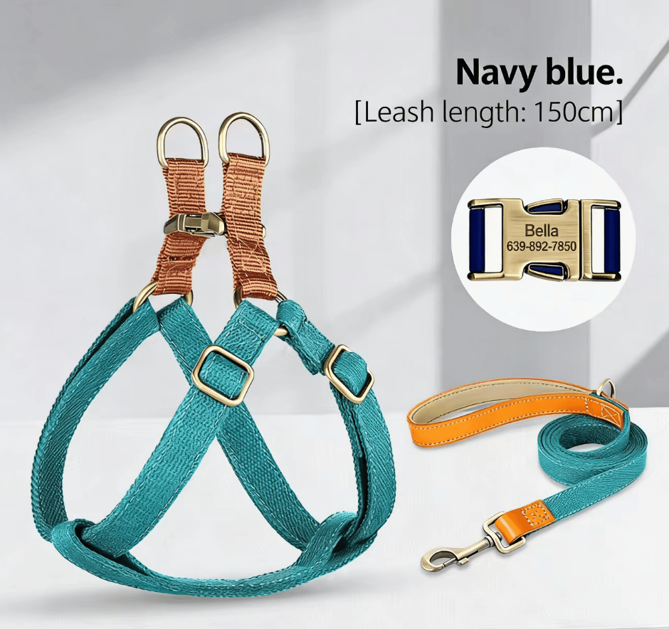 Eprolo small dog chest leash with back lettering, adjustable medium-sized dog harness for Corgis and small breeds.
