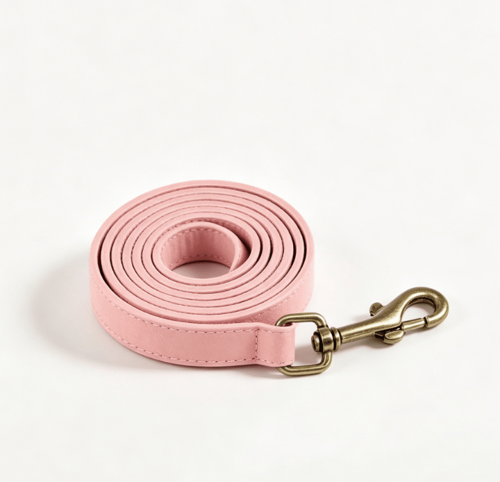 Eprolo dog traction rope and chest harness for medium and large dogs, including Corgi vest for walking and training.