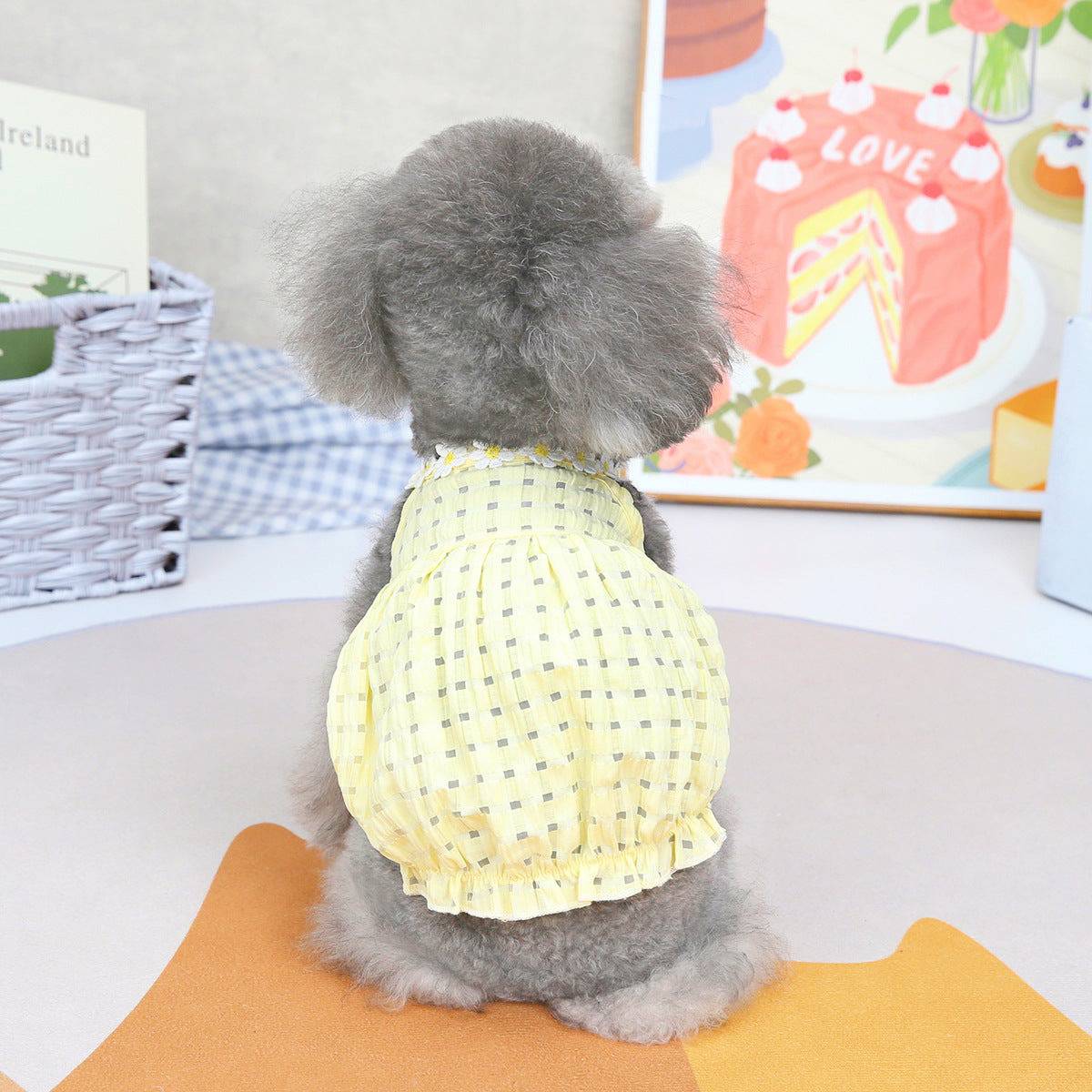Small dog pet clothes by eprolo, lightweight spring and summer dog outfits, featuring colorful fabric and comfortable fit.