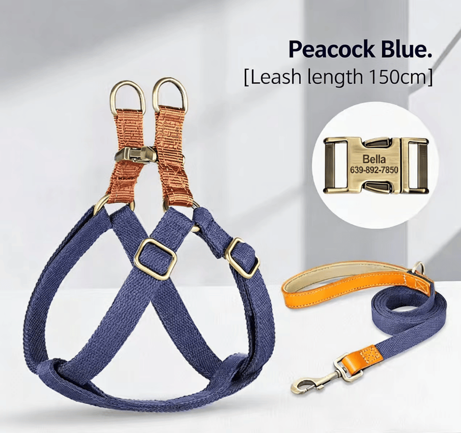 Eprolo small dog leash with chest strap and lettering, suitable for medium-sized dogs like corgis, featuring anti-loss design and rope material.