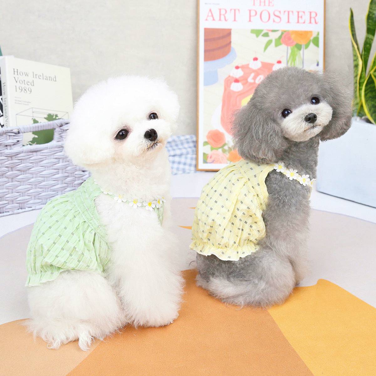 Eprolo spring and summer small dog clothes, lightweight pet apparel featuring colorful patterns on soft fabric for small dogs.