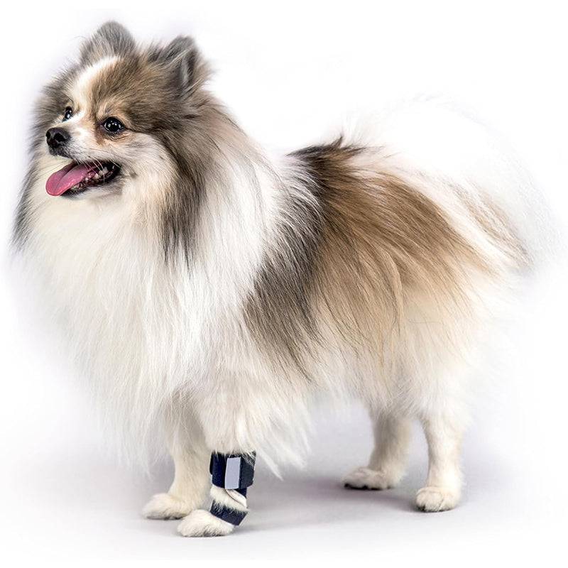 Eprolo luxury dog carpal support brace shown on a dog’s leg, providing joint stability and comfort for canine wrist injuries.