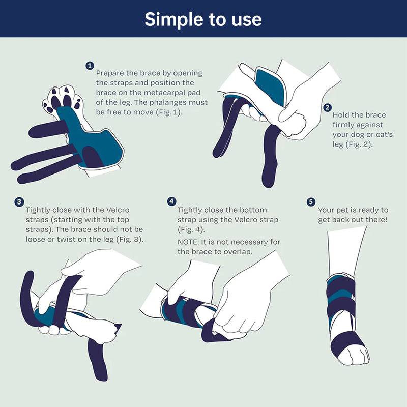 eprolo luxury carpal support brace for dogs showing a comfortable, adjustable wrist brace designed for canine wrist support