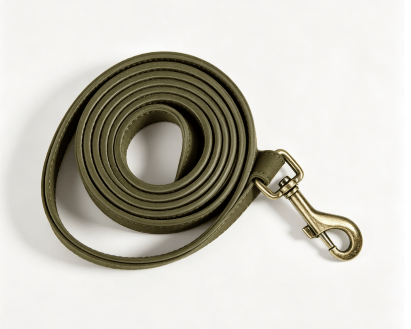 Eprolo dog traction rope attached to a medium and large dog wearing a chest and back harness for walking and control.