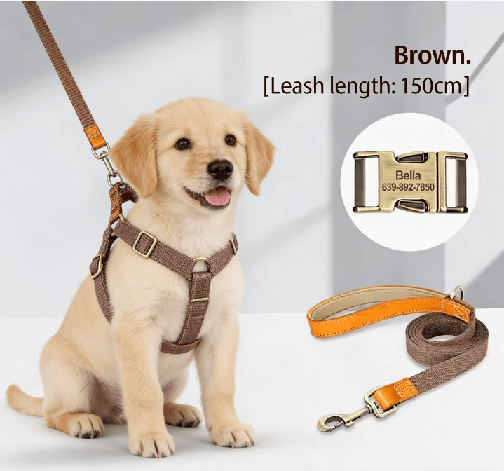 Eprolo small dog chest back leash with lettering, Teddy-style harness for medium-sized dogs and Corgis, anti-loss dog vest and rope.