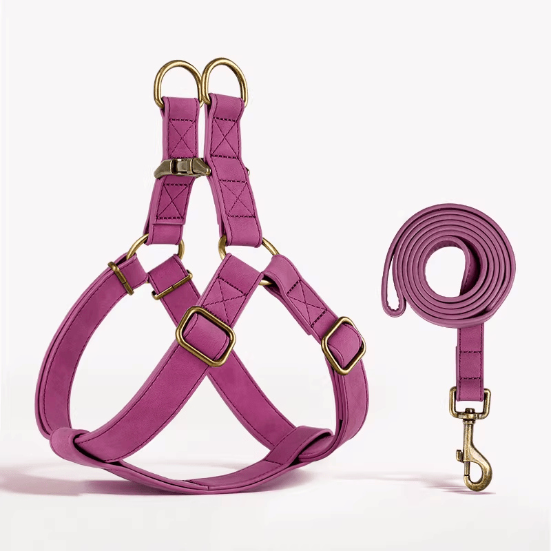 Eprolo dog traction rope with chest and back belt for medium and large dogs like Corgis, ideal for walking and training.