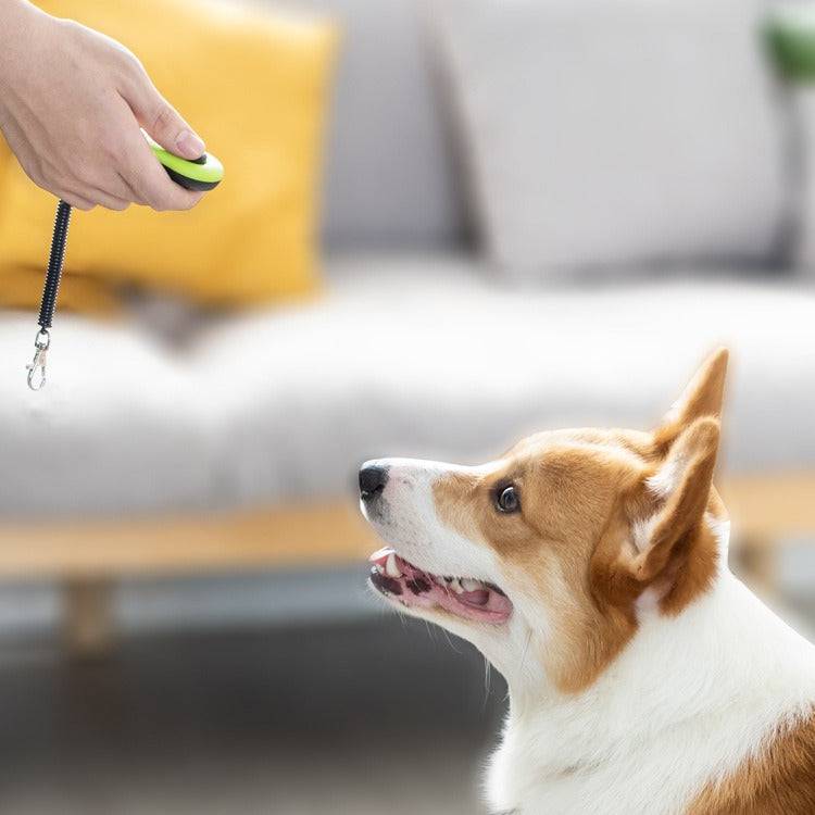 Eprolo dog training whistle with ticking sound and stick design, used for dog training and behavior correction.