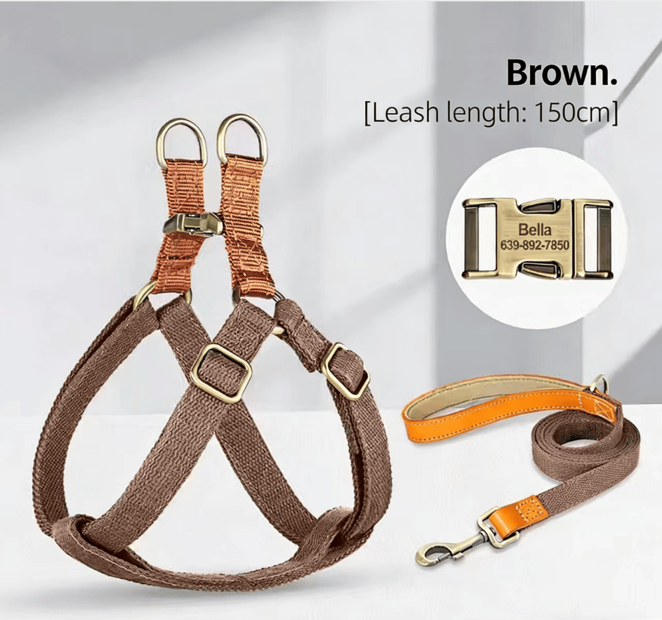 Eprolo dog leash and chest harness with back lettering for small to medium dogs like Corgis, featuring a secure collar and leash attachment.