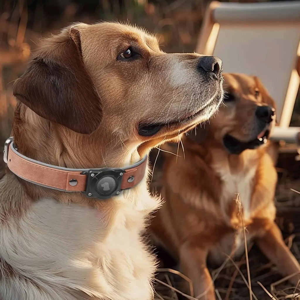 Leather AirTag Dog Collar with Built-In Holder