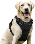 No-Pull Reflective Dog Harness, Heavy-Duty Oxford, Adjustable